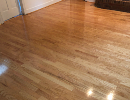 Hardwood floor cleaning
